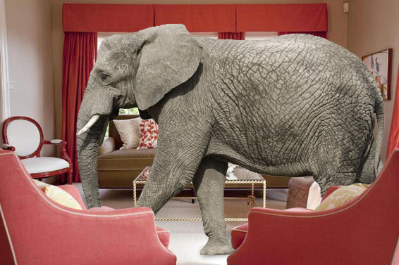 elephant-in-room